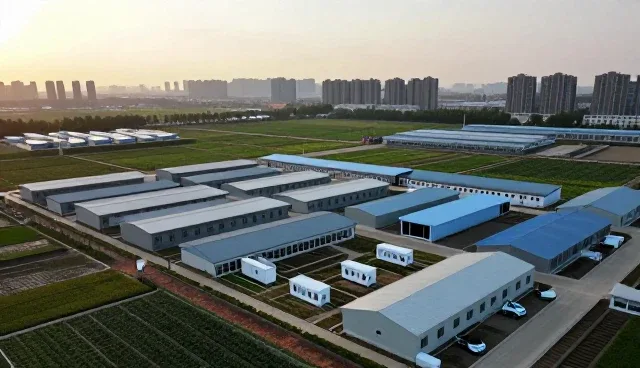 慢病随访中的健康咨询应用场景分析